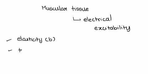muscular-tissue-has-several-important-properties-such-as-electrical-excitability-another-property-of-muscular-tissue-is-that-it-is-able-to-stretch-and-return-to-its-original-size-and-shape-w-09447