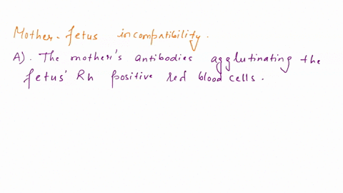 mother-fetus-incompatibility-problems-in-general-result-from-a-the-mothers-antibodies-agglutinating-the-fetus-rh-positive-red-blood-cells-b-the-fetus-antibodies-agglutinating-its-own-red-blo-19875
