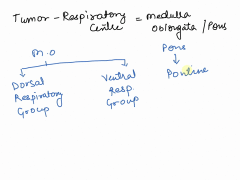 cathy-develops-a-tumor-in-her-brainstem-that-puts-pressure-on-the-respiratory-centers-her-doctor-notices-that-control-of-her-diaphragm-is-abnormal-and-irregular-movements-occur-during-inspir-90153