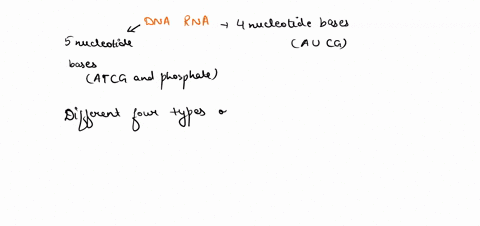 which-statement-below-is-not-a-difference-between-dna-and-rna-dna-is-made-of-deoxyribose-sugar-and-rna-has-ribose-sugar-dna-is-a-double-helix-and-rna-is-a-single-chain-dna-has-thymine-base-a-80124