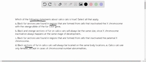 which-of-the-following-statements-about-calico-cats-is-true-select-all-that-apply-a-black-fur-sections-are-found-in-regions-that-are-formed-from-cells-that-inactivated-the-x-chromosome-with-64968