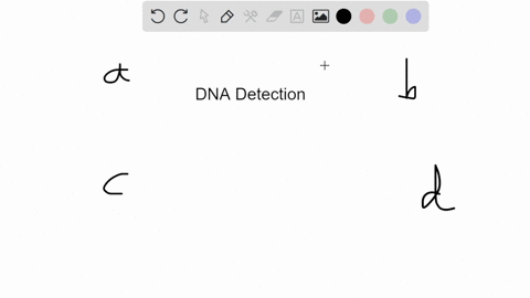 which-procedure-is-least-effective-for-detecting-specific-dna-sequence-in-a-sample-southern-blot-gel-electrophoresis-polymerase-chain-reaction-microarray-07868