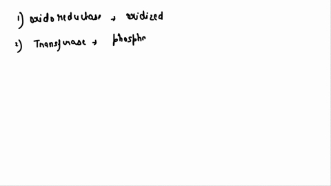 match-each-enzyme-class-to-the-type-of-reactions-catalyzed-18267