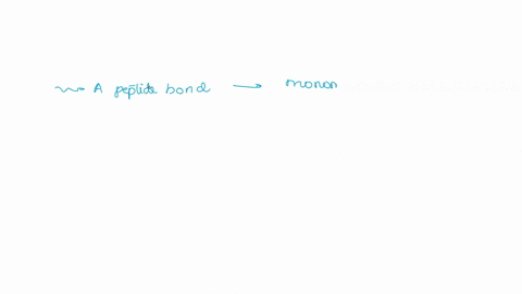 which-of-the-following-is-correct-answer-not-listed-peptide-bond-forms-when-joining-monomers-of-proteins-by-the-process-of-dehydration-rna-contain-bases-atcand-g_-glycosidie-linkages-forms-b-36348