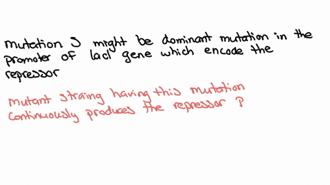 you-are-studying-the-properties-of-a-new-kind-of-regulatory-mutation-of-the-lactose-operon-this-muta-54953