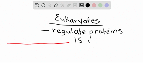 which-of-the-following-methods-is-not-used-by-eukaryotic-cells-to-regulate-the-amount-of-a-protein-in-the-cell-atagging-proteins-with-ubiquitin-for-degradation-by-the-proteasome-bterminating-transcrip