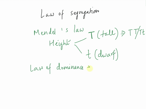 which-of-the-following-statements-describes-mendels-law-of-segregation-select-one-a-a-punnett-square-can-be-used-to-predict-the-outcome-of-a-parental-cross-b-a-bb-individual-will-produce-gam-02378
