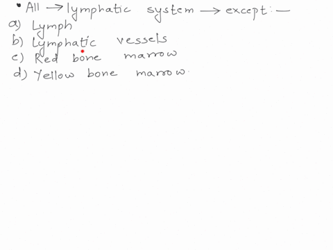all-of-the-following-belong-to-the-lymphatic-system-except_-lymph-b-lymphatic-vessels-red-bone-marrow-yellow-bone-marrow-41056