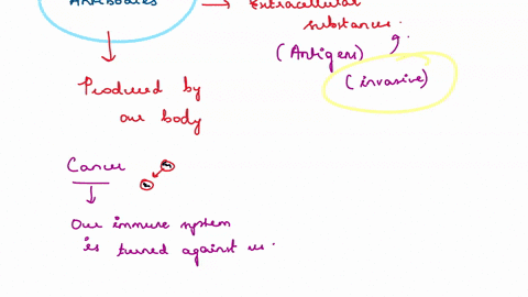 antibodies-are-well-suited-for-recognizing-extracellular-substances-from-invading-bacteria-and-viruses-however-the-immune-system-must-also-be-able-to-respond-to-intracellular-infections-expl-98895