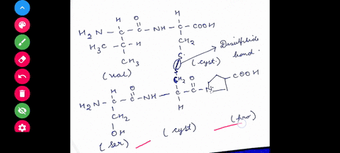 draw-the-structures-of-the-following-two-oligopeptides-with-their-cysteine-residues-cross-linked-by-80142