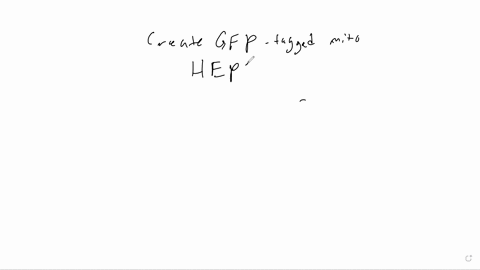 you-have-synthesized-and-enhancerless-gfp-reporter-gene-in-which-the-jellyfish-gfp-cdna-is-placed-downstream-of-_-basal-promoter-that-functions-in-mice-you-will-now-fuse-this-enhancerless-re-43097