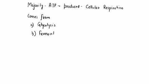 the-majority-of-the-atp-produced-by-cellular-respiration-comes-from-glycolysis-fermentation-the-citric-acid-cycle-the-electron-transport-chain-74196