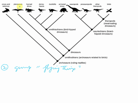 question-22-3-pts-crocs-and-rubalivus-pterosaurs-horned-dinos-domo-hoads-duckbil-g-aimorcd-dinos-sauropods-prosauropcds-oinci-theropods-birds-theropods-meat-eating-dinosaurs-omnithischians-b-93438
