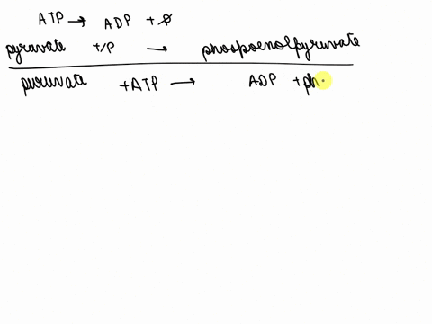 consider-the-following-reaction-pyruvate-atp-7-phosphgenglpyruvate-adp-ehosphoenolgyruvate-7-pyruvate-atp-adp-pi-h-ag-619-kjmole-1-lg-305-kjmole-1-the-approximate-kea-for-this-reaction-is-10-75084
