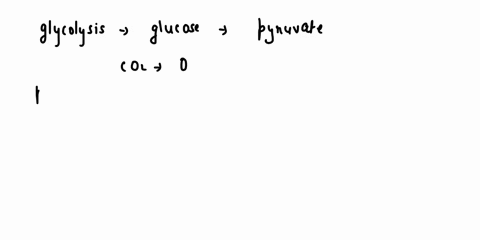 in-the-complete-oxidation-of-glucose-six-coz-molecules-are-formed-per-glucose-molecule-the-number-of-co2-molecules-released-by-glycolysis-is-by-pyruvate-oxidation-is-and-by-the-citric-acid-c-00212
