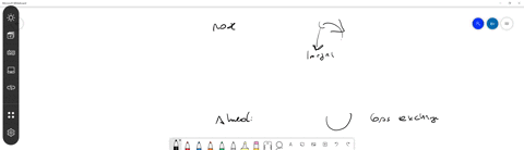 what-is-the-order-of-airflow-during-inhalation-a-nasal-cavity-larynx-trachea-bronchi-bronchioles-alveoli-b-nasal-cavity-larynx-trachea-bronchioles-bronchi-alveoli-c-nasal-cavity-trachea-larynx-bronc-3