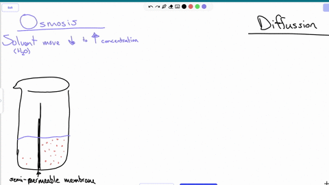 1-how-is-osmosis-related-to-diffusion-2-what-are-the-two-things-needed-for-osmosis-to-take-place-3what-does-the-term-semi-permeable-or-selectively-permeable-mean-4-define-the-following-terms-80295