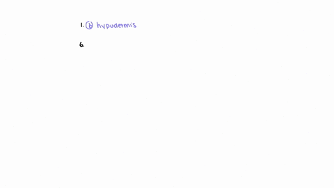 name-qquad-labi-qquad-lecture-exam-2-sp-2024-version-a-ch-5678-part-1-read-the-following-carefully-and-choose-the-correct-option-to-best-answer-the-question-or-complete-the-statement-write-the-letter