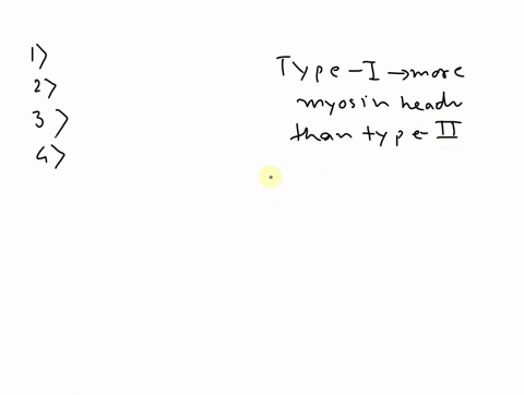 which-of-the-following-is-an-adaptation-that-muscles-have-larger-motor-units-use-fewer-action-potentials-than-smaller-motor-units-typei-fibers-have-more-myosin-heads-than-type-ll-fibers-smal-45517