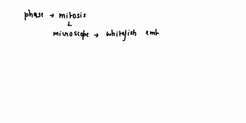 which-phase-of-mitosis-appears-to-be-most-common-in-microscope-images-of-whitefish-embryos-which-phase-of-mitosis-appears-to-be-most-common-in-microscope-images-of-onion-root-tips-what-does-01067