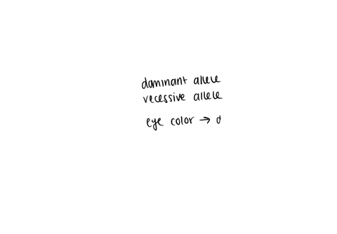 alleles-are-described-as-alternate-phenotypes-o-punnett-squares-o-alternate-versions-of-a-gene-o-environmental-factors-that-affect-gene-expression-o-homologous-chromosomes