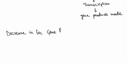 the-lac-operon-contains-three-genes-lacz-lacy-and-laca-for-beta-galactosidase-galactoside-permease-and-thiogalactoside-transacetylase-respectively-the-operon-also-contains-a-promoter-site-an-02377