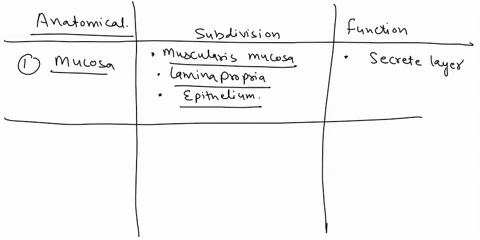 general-histological-plan-of-the-alimentary-canal-subdhvtsam-f-the-layer-seler-panctlons-mucosa-submucosa-notapplicabie-muscularis-externa-serosa-or-adventitia-notapolcable-organs-of-the-ali-54993
