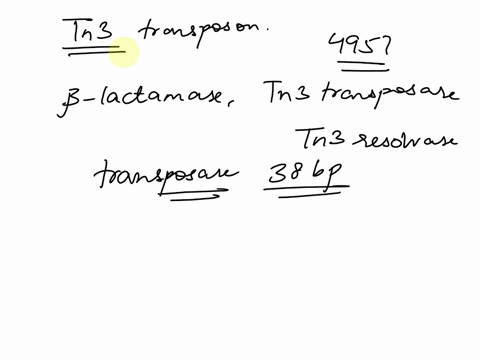 the-tn3-transposon-is-a-4957-base-pair-mobile-genetic-element-found-in-prokaryotes-that-encodes-three-proteins-lactamase-tn3-transposase-and-tn3-resolvase-the-transposon-is-flanked-by-a-pair-40573