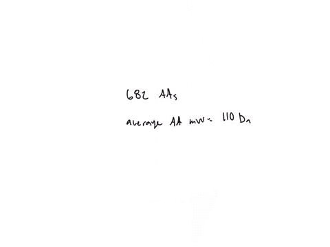 what-is-the-approximate-molecular-weight-of-a-protein-with-682-amino-acid-residues-in-a-single-polypeptide-chain-42093