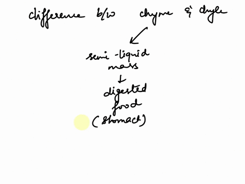 what-is-the-difference-between-chyme-and-chyle-97793