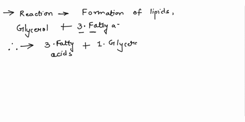 which-reaction-is-responsible-for-the-production-of-lipids-when-glycerol-is-joined-to-three-fatty-acids-34182