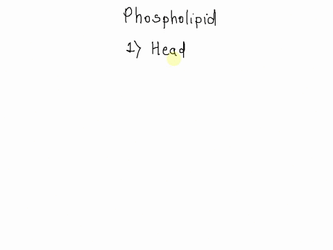 biological-membranes-contain-phospholipids-phospholipids-contain-substituents-that-can-be-considered-polar-non-polar-ionic-all-of-the-above-42564