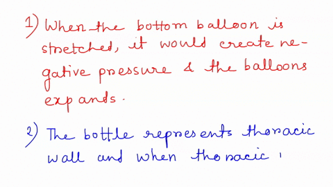 1-what-happens-to-the-balloon-inside-the-bottle-when-the-bottom-of-the-balloon-is-stretched-the-balloon-inflates-2-what-happens-to-the-balloon-inside-the-bottle-when-the-bottom-of-the-balloo-82635