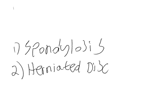 name-the-most-common-pathologies-of-the-spine-that-are-found-on-radiographs
