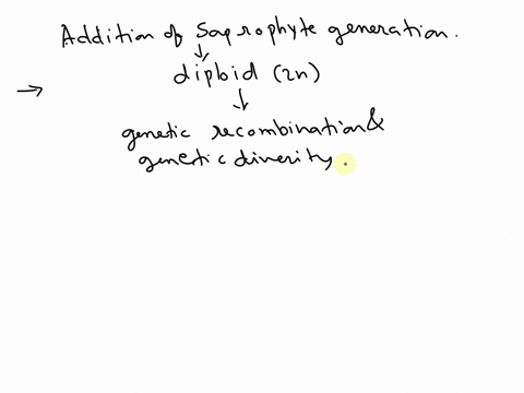 how-did-the-addition-of-a-sporophyte-generation-contribute-to-the-success-of-plants-on-land-47725