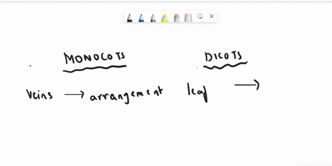 which-of-these-is-an-incorrect-contrast-between-monocots-stated-first-and-eudicots-stated-second-a-2-20876