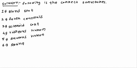 please-can-you-help-me-with-answer-answe-to-this-question-please-assist-laboratory-report-student-3536-desk-no-section-anatomy-of-the-eye-ex35-a-illustrations-record-the-labels-from-figures-65552