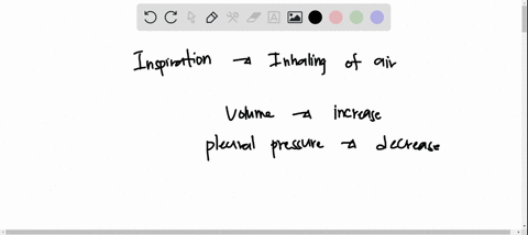 during-inspiration-contraction-of-the-diaphragm-causes-the-volume-of-mr-jones-thoracic-cavity-to-increase-and-the-pleural-pressure-to-decrease-the-pressure-in-his-alveoli-p-alv-will-a-decrea-69113