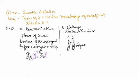 the-process-that-breaks-up-combinations-of-beneficial-alleles-in-sexually-reproducing-populations-is-known-by-what-term-a-recombination-b-linkage-disequilibrium-c-haplotype-d-gene-flow-14304