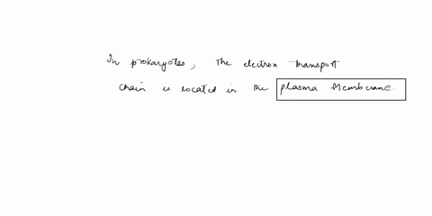 question-04-where-is-the-electron-transport-chain-kocated-in-prokaryotes-plasma-membranc-nucleus-mitochondrial-membrane-er-golgi-apparatus-40222