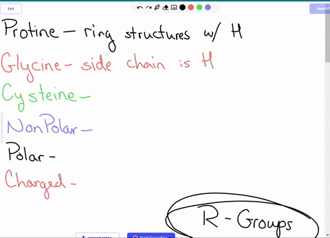 match-these-for-side-chain-r-groups-lonize-at-cell-ph-hydrophilic-as-they-attract-opposite-proline-not-ionized-but-hydrophilic-so-they-attract-other-charged-or-polar-side-chains-glycine-cyst-23872