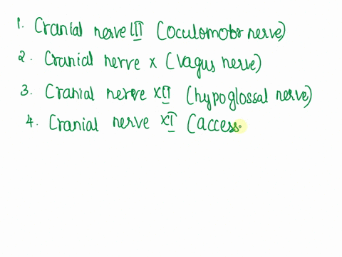 1a-person-may-becross-eyed-as-a-result-of-damage-to-this-cranial-nerve-2damage-to-this-cranial-nerve-may-result-in-an-increase-in-heart-rate-likely-injured-4-damage-to-this-cranial-nerve-wil-93628