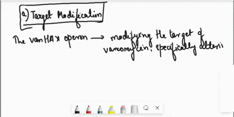6-vancomycin-is-a-glycopeptide-antibiotic-that-blocks-the-formation-of-crosslinks-between-peptidoglycan-tetramers-in-the-bacterial-cell-wall-there-are-multiple-mechanisms-of-resistance-to-va-91801