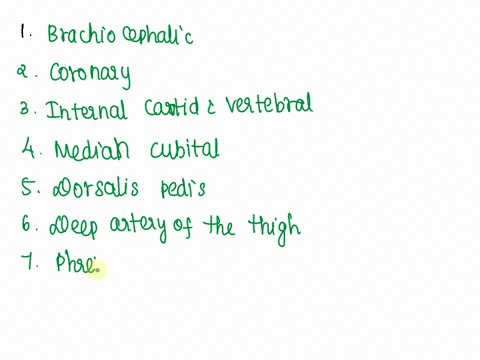 480-review-sheet-32-major-systemic-arteries-and-veins-of-the-body-5-use-the-key-on-the-right-to-identify-the-arteries-or-veins-described-on-the-left-1vessel-that-is-paired-in-the-venous-syst-49058