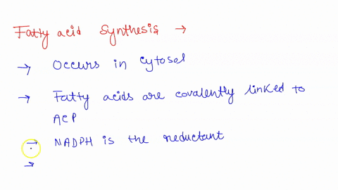 compare-oxidation-with-fatty-acid-synthesis-48398
