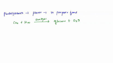 how-are-the-reactions-of-photosynthesis-and-cellular-respiration-interconnected-how-are-the-reactions-of-photosynthesis-and-cellular-respiration-interconnected-the-reactions-are-opposites-of-69316