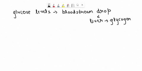 how-does-the-body-use-the-glucose-molecules-we-get-from-our-food-13616