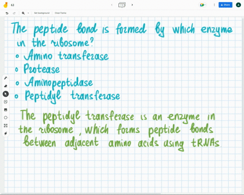 question-5-the-peptide-bond-is-formed-by-which-enzyme-in-the-ribosome-amino-transferase-protease-aminopeptidase-peptidyl-transferase