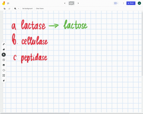 identify-the-substrate-catalyzed-by-each-enzyme-a-lactase-b-cellulase-c-peptidase-91608