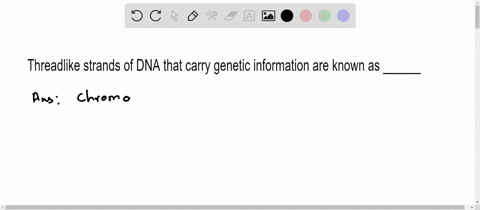 threadlike-strands-of-dna-that-carry-genetic-information-are-known-as-______-a-stem-cells-b-genes-c-neurons-d-chromosomes